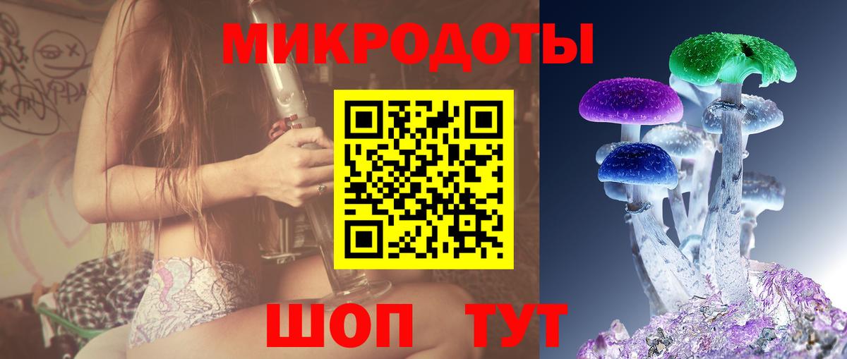 Псилоцибиновые грибы прущие грибы Минеральные Воды